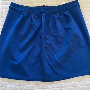 J.Crew Factory Blue Knot Skirt